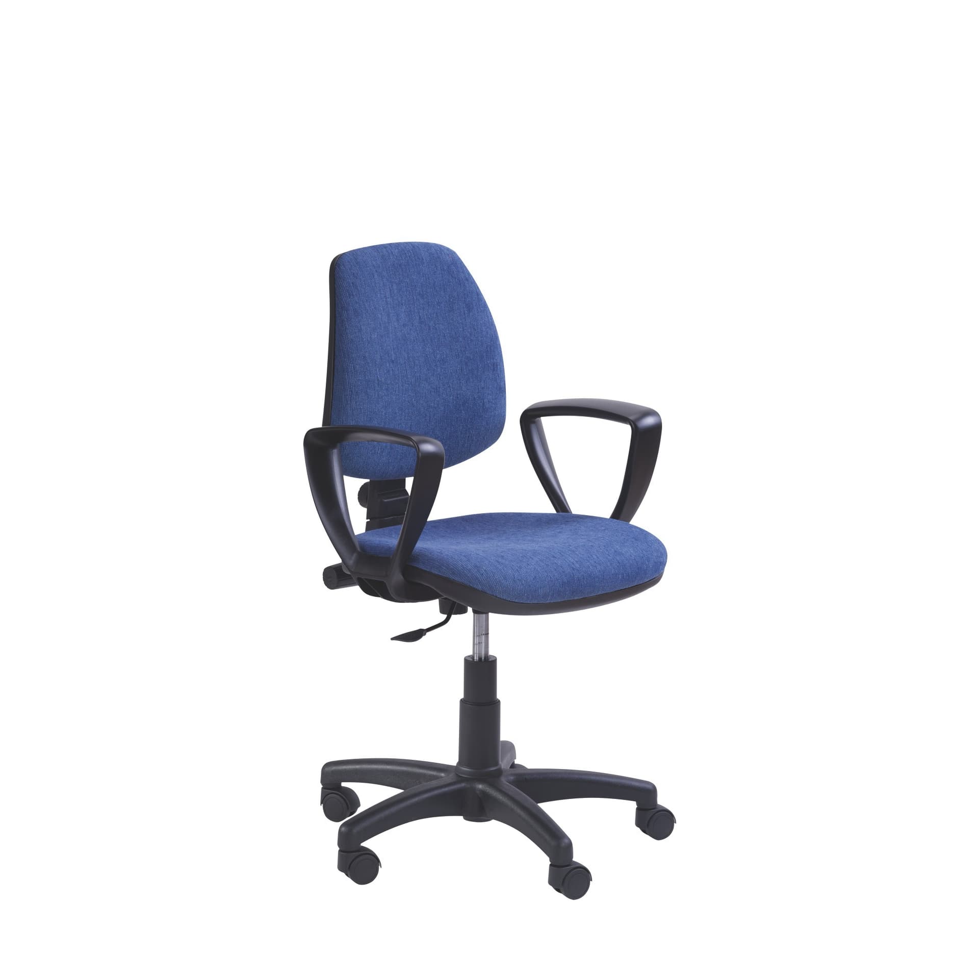 F209 FLAY plus con braccioli