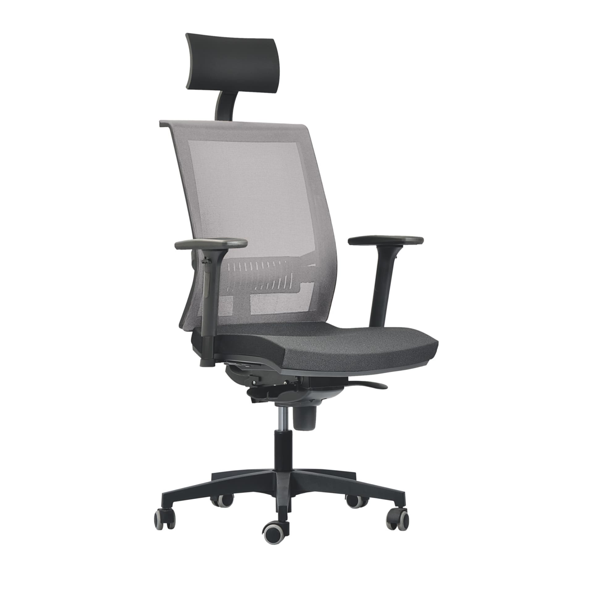 GS11 GEOS EVO ergoline