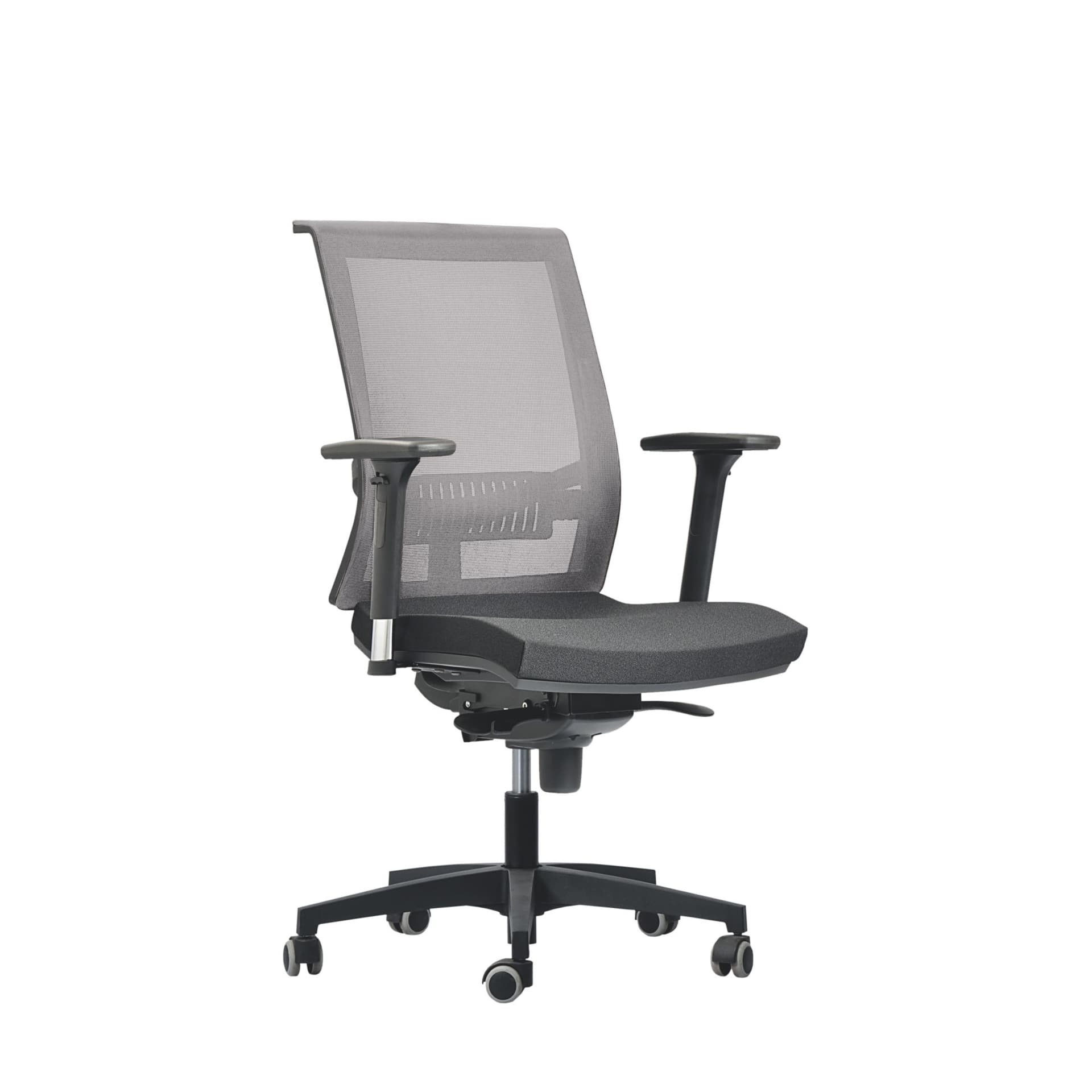 GS12 GEOS EVO ergoline
